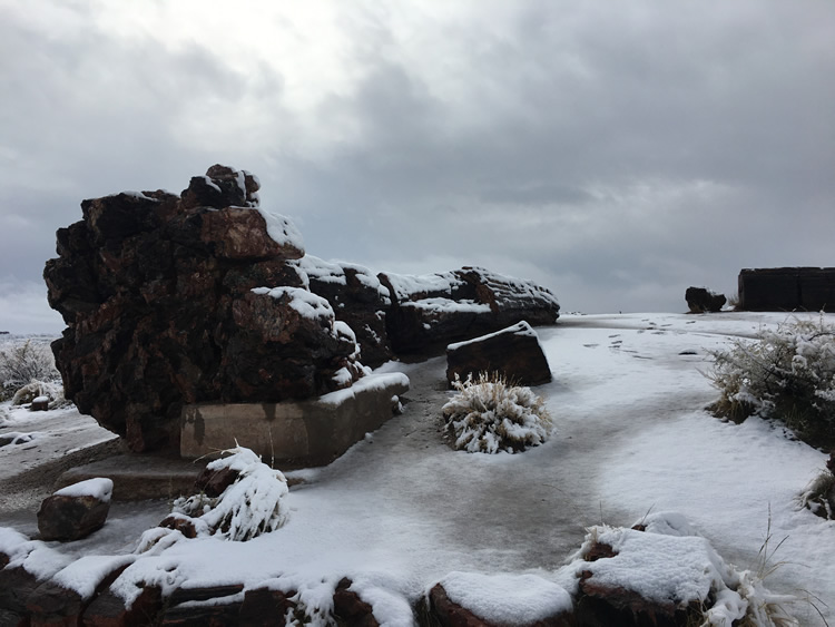 Petrified Forest National Park